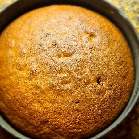 La Casetta Nel Borgo Castelnuovo di Val di Cecina Eksteriør billede